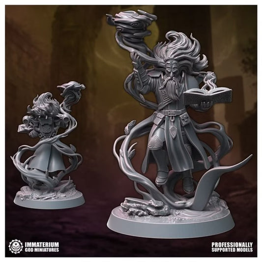 Veil Sorcerer (hero pose) - Immaterium God | Tabletop Games