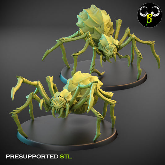 Cave Spider - ClayBeastCreation - Cult of the Eight | Tabletop Games